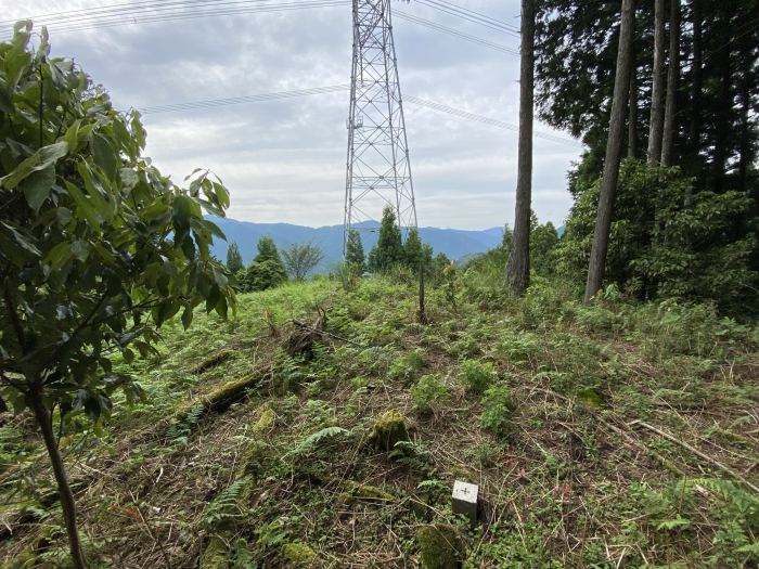 兵庫県多可郡多可町/三組尾・大海山・小野山へバイク走り