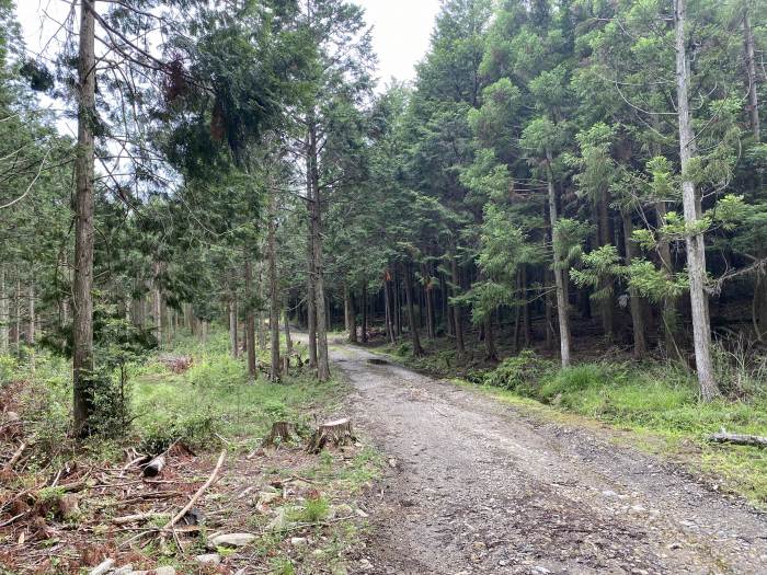 兵庫県多可郡多可町/三組尾・大海山・小野山へバイク走り