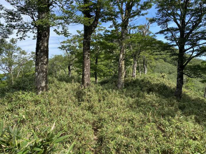 兵庫県宍粟市千種町/竹呂山・三室山へバイク走り