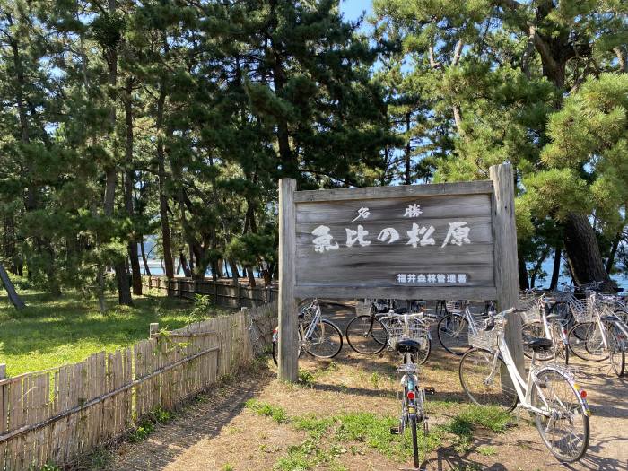 福井県南条郡南越前町/山中峠・木ノ芽峠・栃ノ木峠へバイク走り