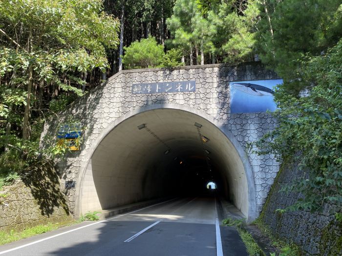 兵庫県豊岡市日高町/神鍋山噴火口へバイク走り