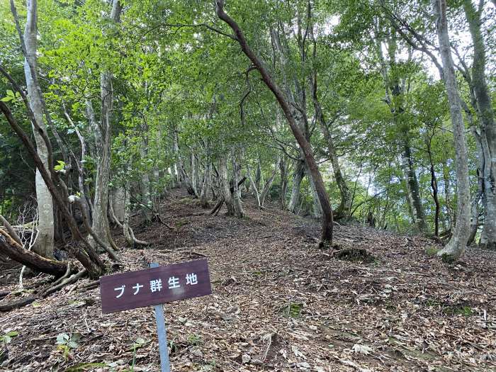 兵庫県豊岡市但東町/高竜寺ヶ岳へバイク走り