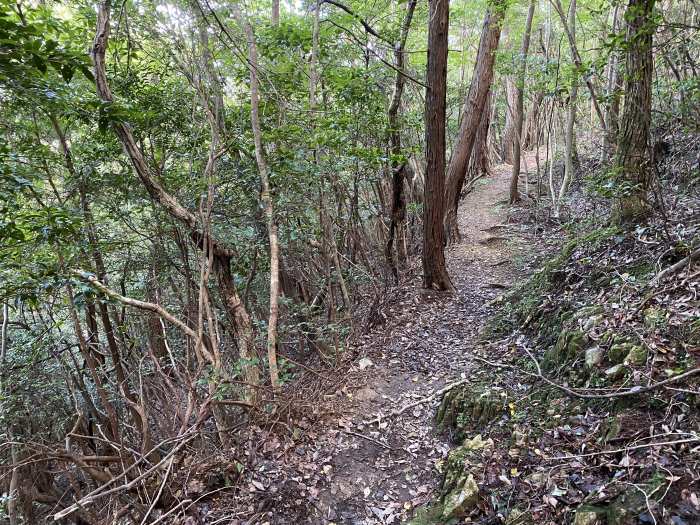 京都府亀岡市東本梅町/半国山へバイク走り