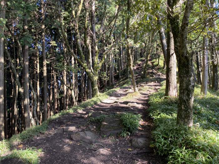 奈良県宇陀郡曽爾村/曽爾高原・倶留尊山へバイク走り