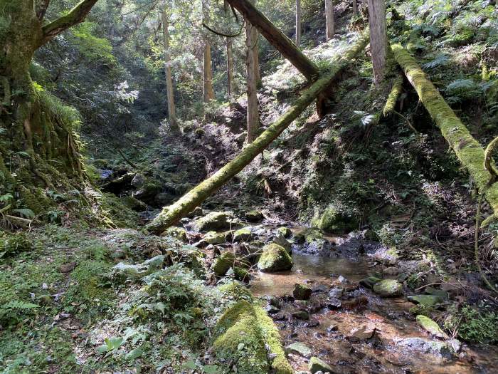 京都府綾部市睦寄町/シデ山・大栗山へバイク走り