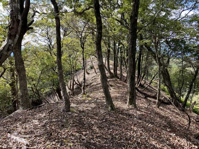 京都府綾部市睦寄町/シデ山・大栗山へバイク走り