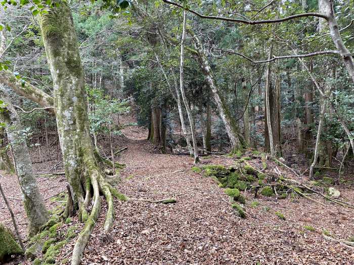 兵庫県丹波市市島町多利/妙高山へバイク走り