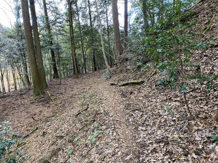 兵庫県丹波市市島町多利/妙高山へバイク走り