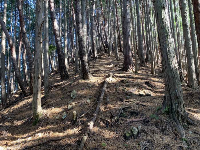 兵庫県丹波市青垣町桧倉/岩屋山を散策