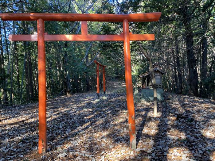 兵庫県丹波市山南町和田/蛇山を散策