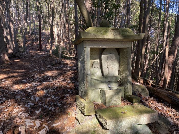 兵庫県丹波市山南町和田/蛇山を散策