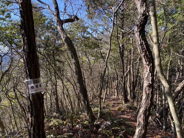 兵庫県丹波市山南町和田/蛇山を散策