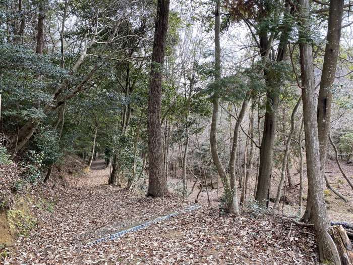 兵庫県三田市上槻瀬/烏ヶ岳を散策