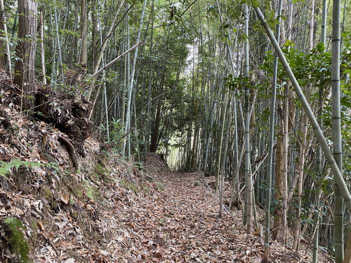 兵庫県三田市上槻瀬/烏ヶ岳を散策