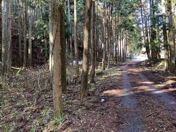 兵庫県多可郡多可町/三国岳を散策