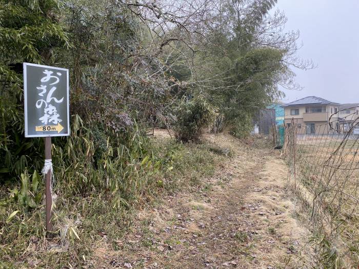 兵庫県丹波市青垣町山垣/烏帽子山を散策