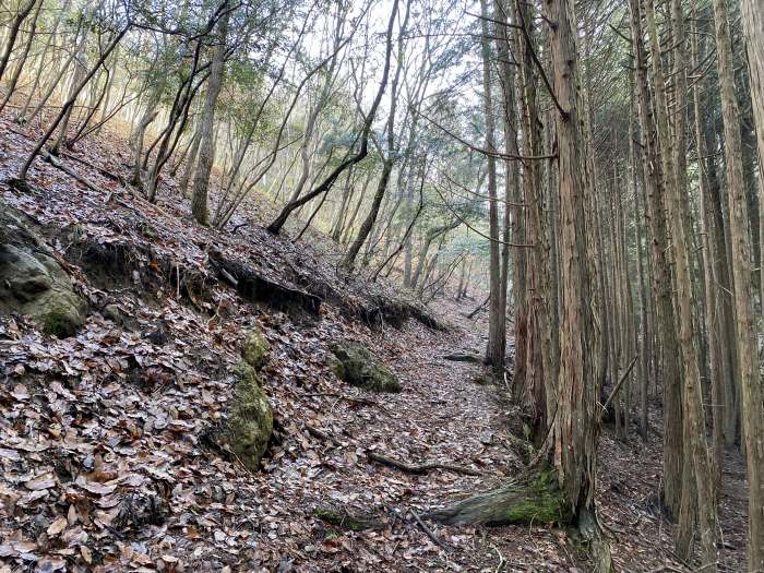 兵庫県丹波市青垣町山垣/烏帽子山を散策