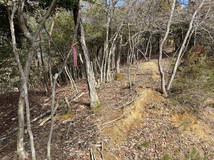 兵庫県丹波市青垣町山垣/烏帽子山を散策