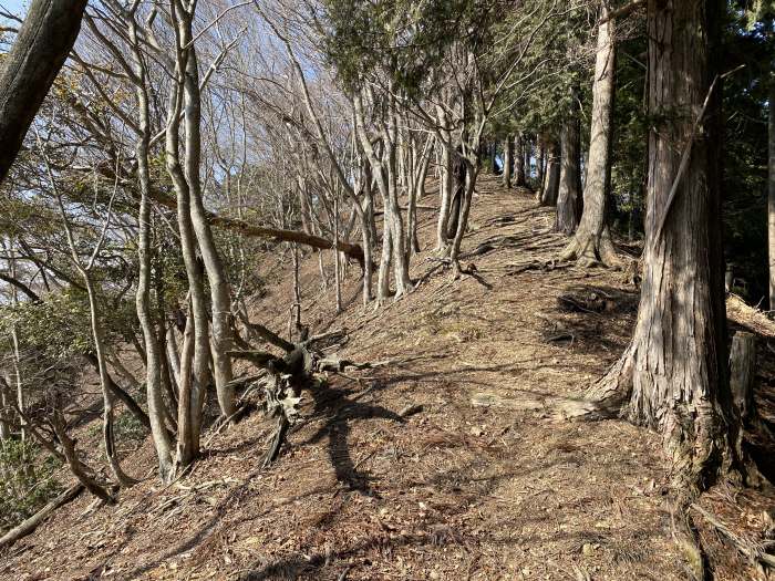 兵庫県丹波市青垣町山垣/烏帽子山を散策