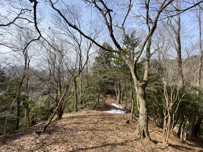 兵庫県丹波市青垣町山垣/烏帽子山を散策