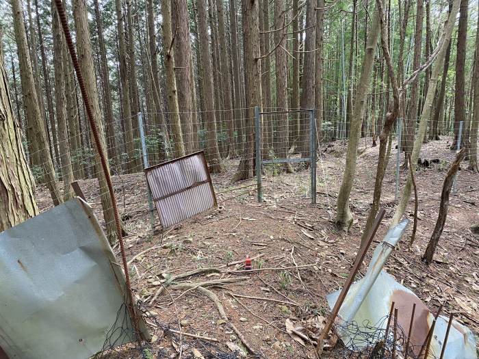 兵庫県丹波市青垣町山垣/烏帽子山を散策