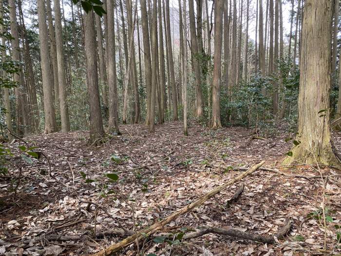 兵庫県丹波市青垣町山垣/烏帽子山を散策