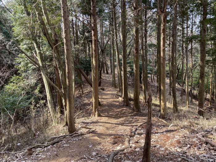 大阪府豊能郡能勢町長谷/三草山へバイク走り