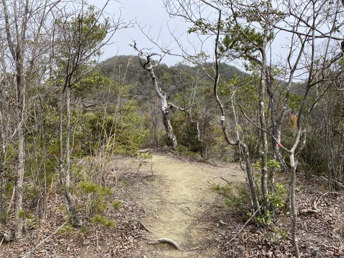 兵庫県宝塚市波豆/大岩岳へバイク走り