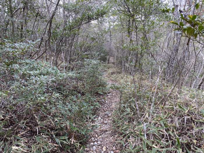 兵庫県宝塚市波豆/大岩岳へバイク走り