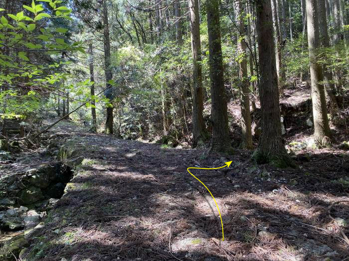 兵庫県丹波市氷上町三方/鳴尾山へバイク走り