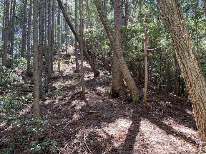 兵庫県丹波市氷上町三方/鳴尾山へバイク走り