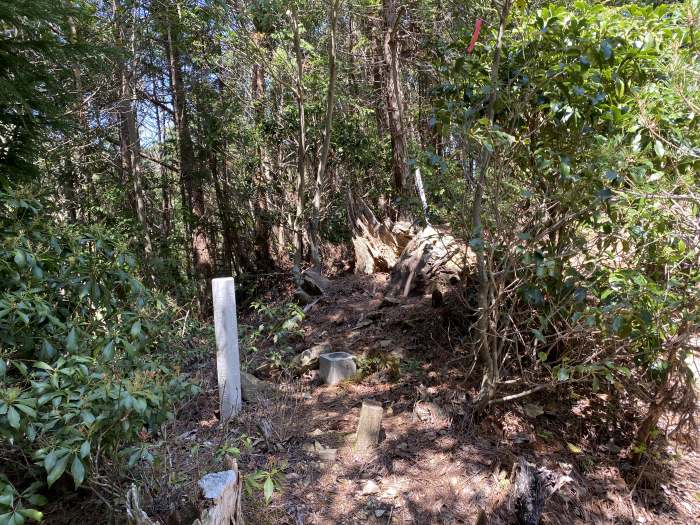 兵庫県丹波市氷上町三方/鳴尾山へバイク走り