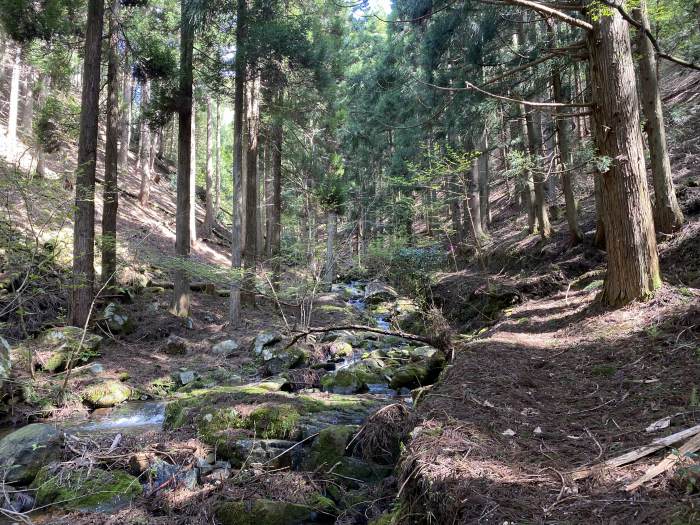 兵庫県朝来市和田山町竹ノ内/東床尾山へバイク走り