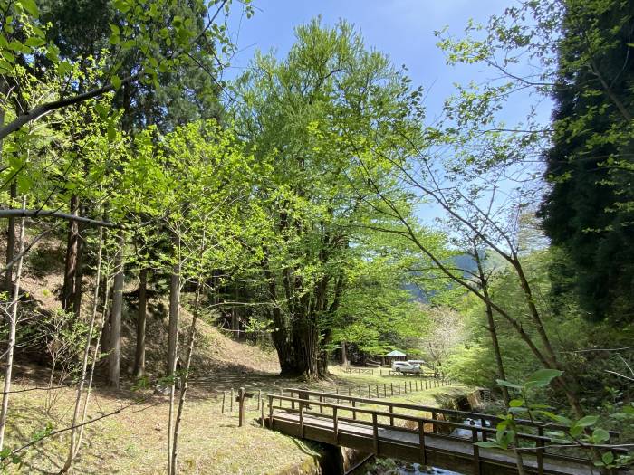 兵庫県朝来市和田山町竹ノ内/東床尾山へバイク走り