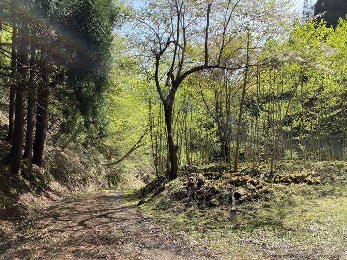 兵庫県朝来市和田山町竹ノ内/東床尾山へバイク走り