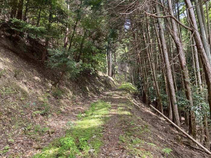 兵庫県丹波市青垣町稲土/大箕山へバイク走り