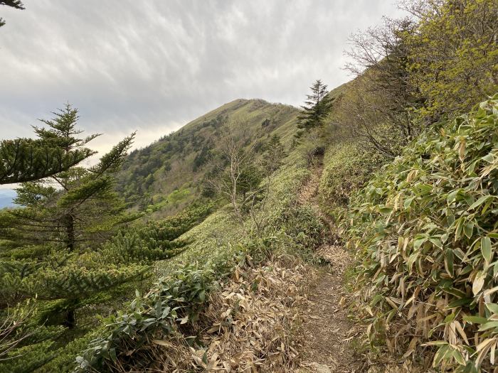 四国八十八霊場第43番～第64番巡拝と石鎚山系登山の車中泊旅