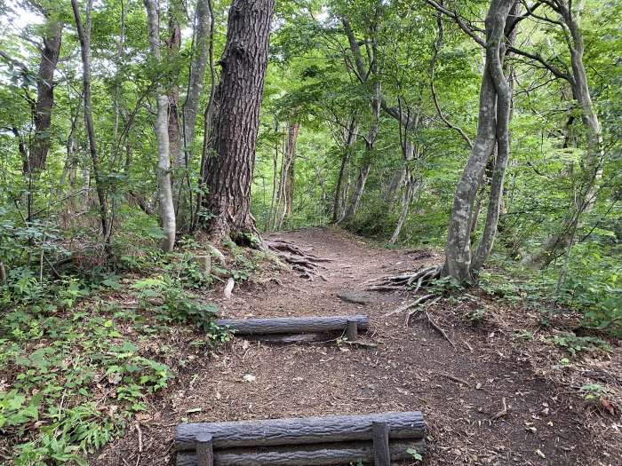 岡山県真庭市蒜山/蒜山へバイク走り