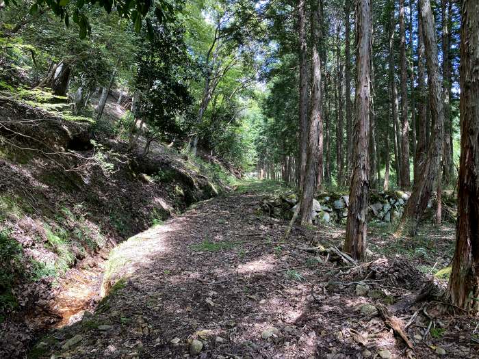 兵庫県豊岡市出石町奥小野/法沢山へバイク走り