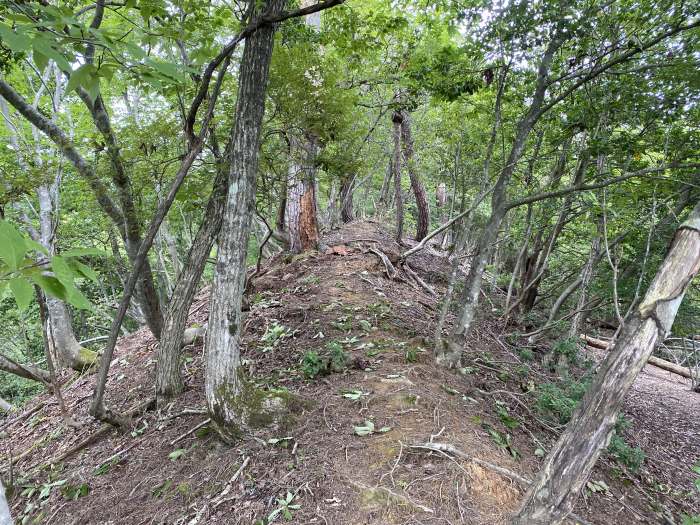 兵庫県豊岡市出石町奥小野/法沢山へバイク走り