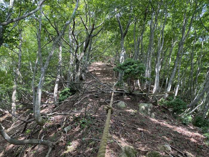 兵庫県豊岡市出石町奥小野/法沢山へバイク走り