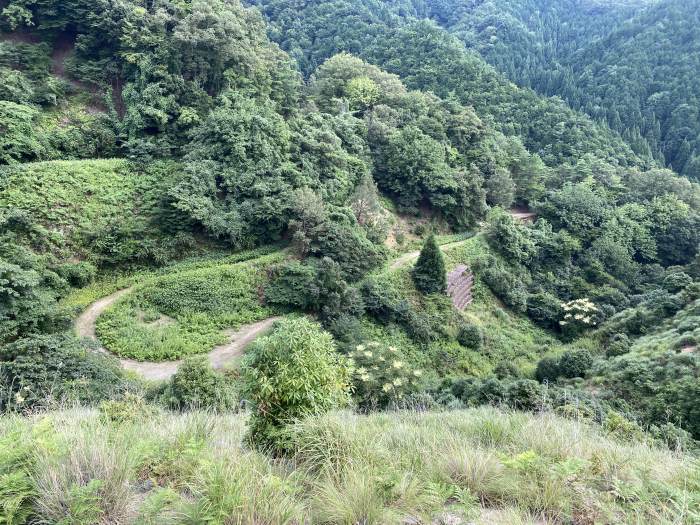 兵庫県豊岡市出石町奥小野/法沢山へバイク走り