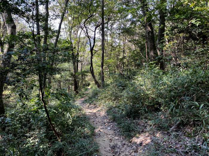 兵庫県小野市来住町/小野アルプス紅山へバイク走り