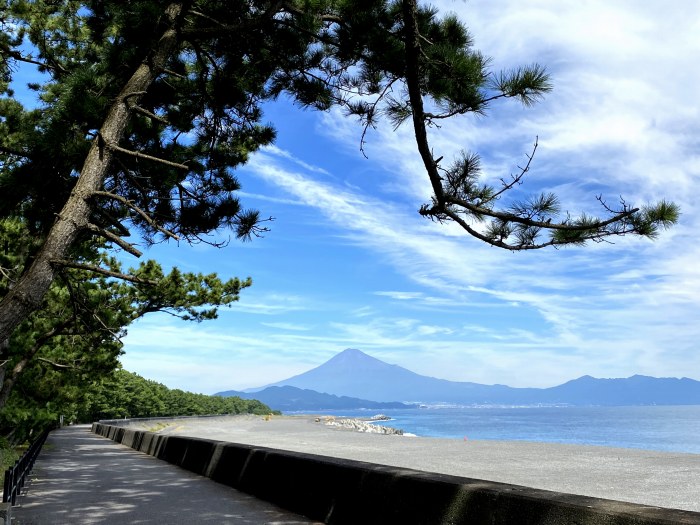 静岡県山梨県/浅間神社巡りと富士見登山の車中泊旅