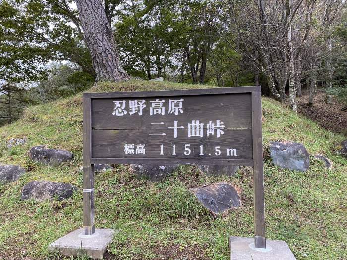 静岡県山梨県/浅間神社巡りと富士見登山の車中泊旅