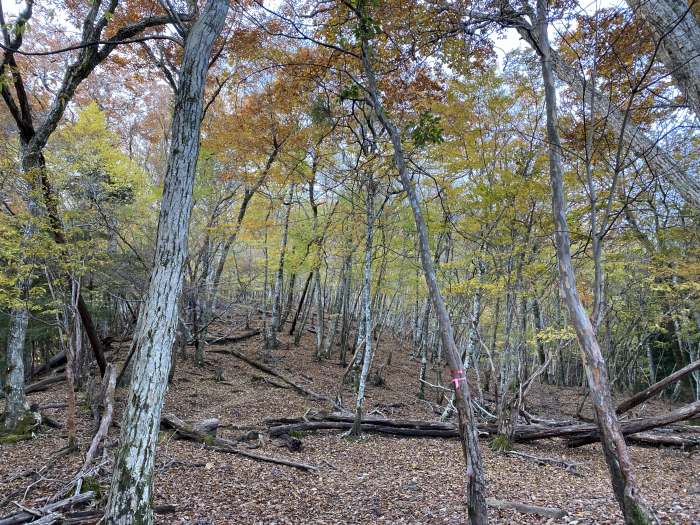 四国八十八霊場第65番～第88番巡拝と三嶺登山の車中泊旅