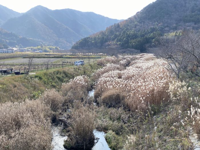 多紀郡四国八十八ヶ所霊場を訪ねて兵庫県丹波篠山市の今田方面を散策