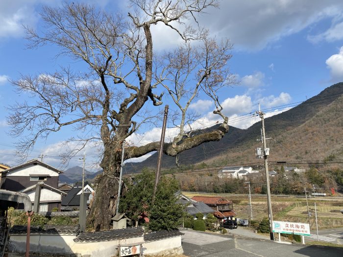 多紀郡四国八十八ヶ所霊場を訪ねて兵庫県丹波篠山市の今田方面を散策