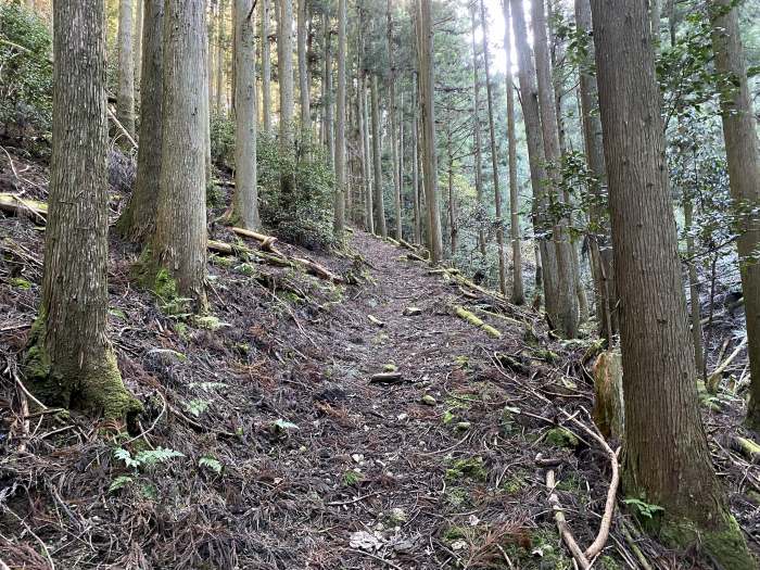 兵庫県丹波篠山市/多紀アルプスを縦走