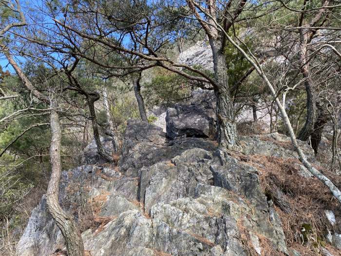 兵庫県丹波篠山市/多紀アルプスを縦走